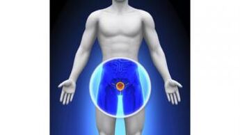 prostatite chez un homme